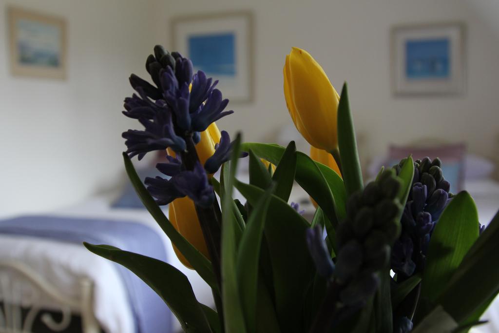 Sunny Cottage Maidenhead Bilik gambar